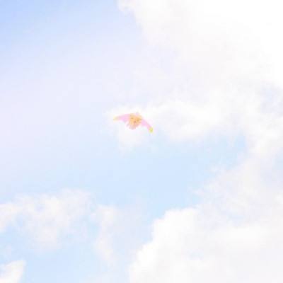 热血武林手游官方下载